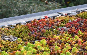 the cost of Carlingwark green roof installation