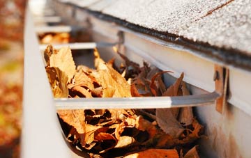 Carlingwark gutter cleaning companies
