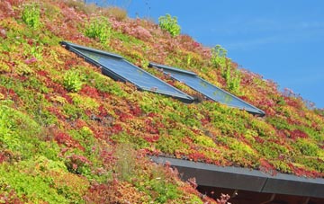 Carlingwark living roof systems